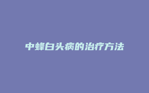 中蜂白头病的治疗方法