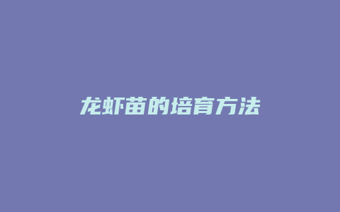 龙虾苗的培育方法