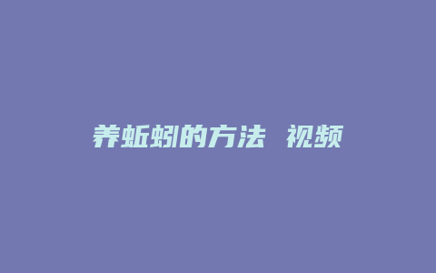 养蚯蚓的方法 视频