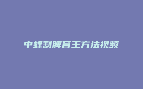 中蜂割脾育王方法视频