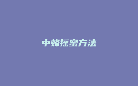 中蜂摇蜜方法