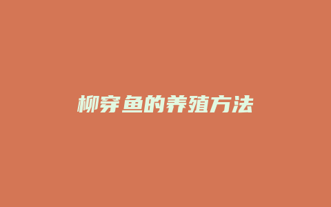 柳穿鱼的养殖方法