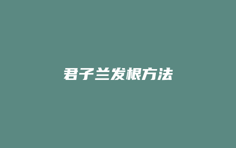 君子兰发根方法