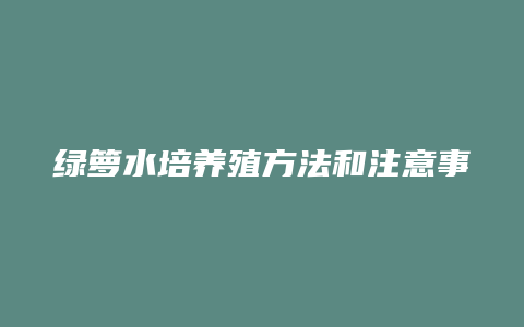 绿箩水培养殖方法和注意事项