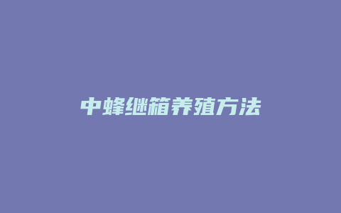 中蜂继箱养殖方法