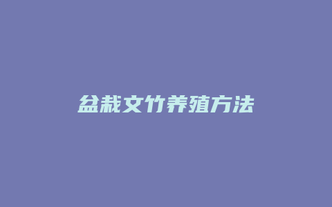 盆栽文竹养殖方法